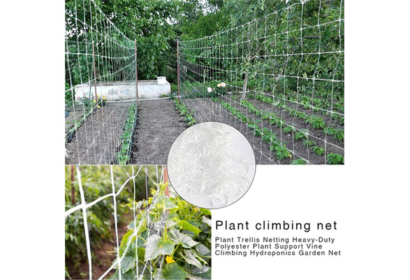 Wish Kundeomtaler: Plant Trellis Netting Heavy-Duty Polyester Plant Support  Vine Climb Hydroponics Garden Net Accessories Multi Use