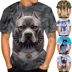 Summer, Funny, Fashion, germanshepherd
