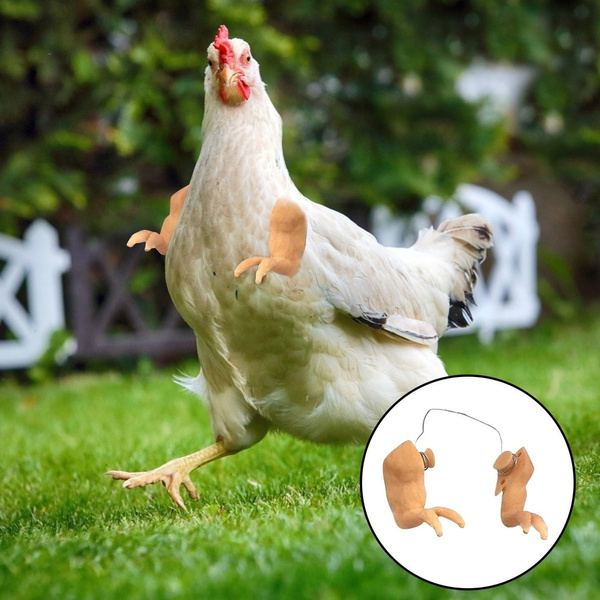 Pet Decoration Dinosaur Chicken Arms Funny Decoration Suitable for Chicken  Body and Fist Funny Decorative Toys for Poultry