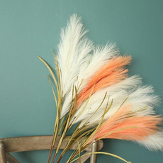 Plants, Flowers, rabbit, silkflowerhead