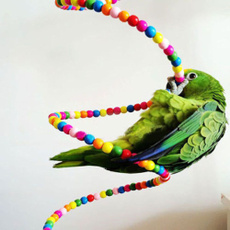 parrotladder, parakeettoy, Toy, ladderstand
