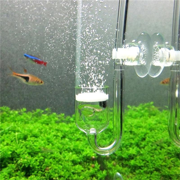 Aquarium CO2 Diffuser Check Valve U Shape Glass Tube Suction Cup | Wish