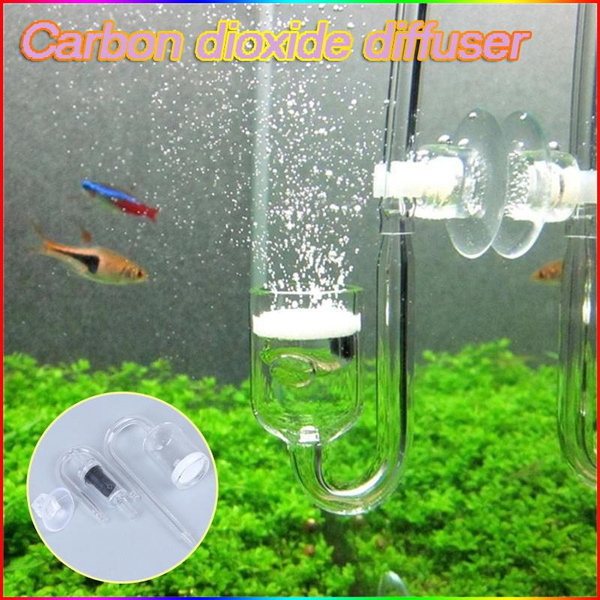 Aquarium Fish Tank CO2 Diffuser Glass Cup Carbon Dioxide Reactor | Wish