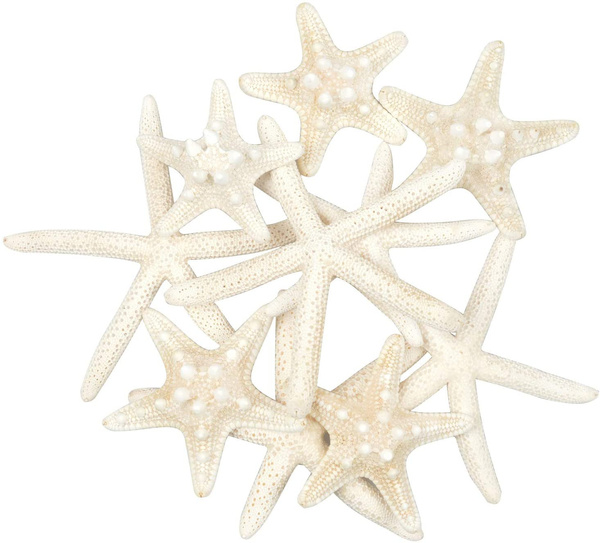 100 X,Mini Natural Flat Tan Starfish Seashells Fit For Beach