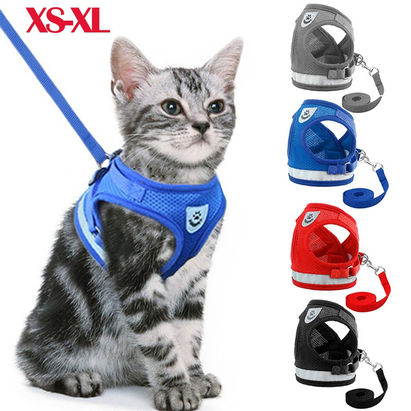 wish cat harness