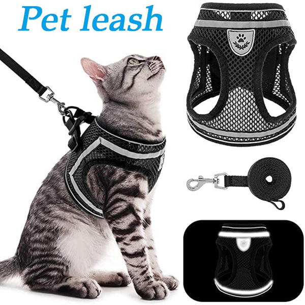 wish cat harness