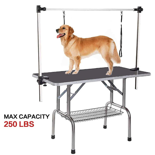 dog bath table