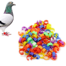 useful, Pets, Pet Products, pigeon