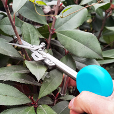 gardeningshear, Flowers, fruitscissor, Garden