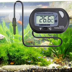 aquariumthermometer, Turtle, fishaquarium, Tank
