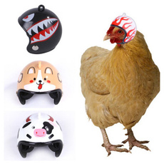 Helmet, birdheadhelmet, chickhat, pethelmet