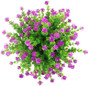 thumbnail - 6