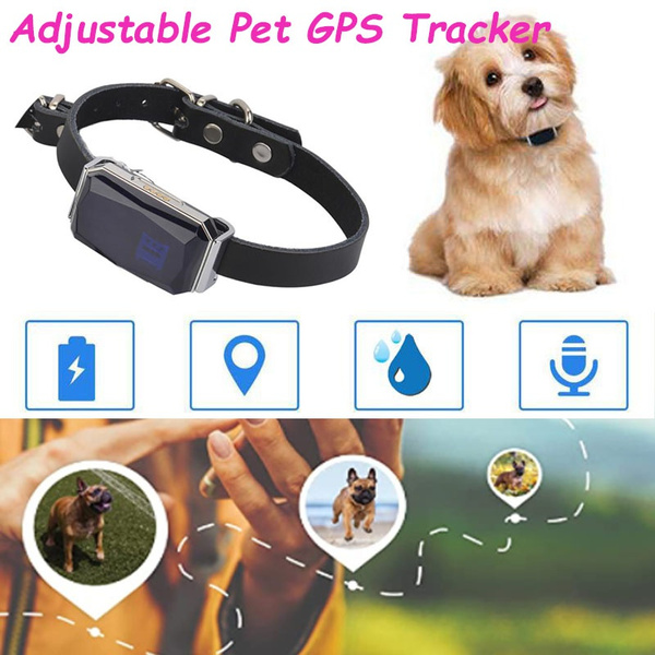 wifi dog tracker