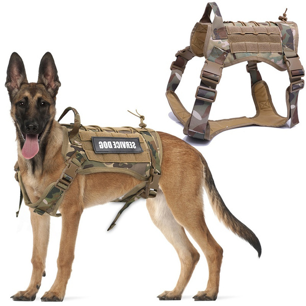 Belgian malinois best sale military harness