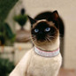 thumbnail - 8