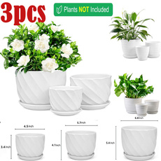 Indoor, Plants, Ceramic, smallfreshflowerpot