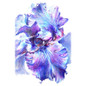 thumbnail - 6