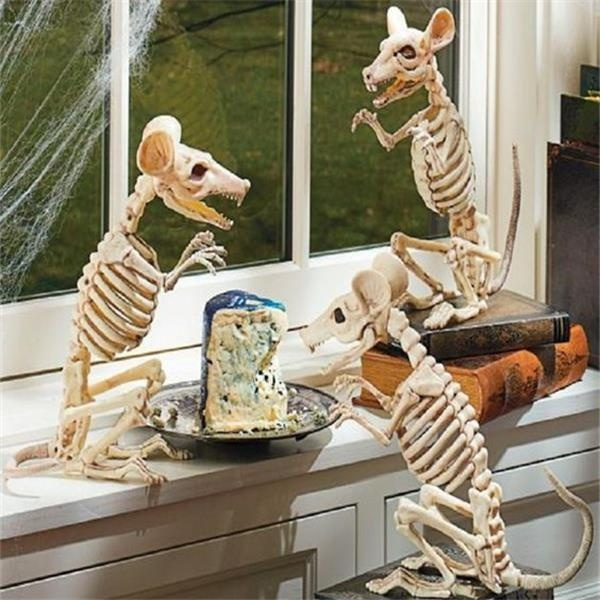 7 Styles Simulation Animal Skeleton Bones Movable Bones Skeleton for  Haunted House Party Decor Horror Halloween Decoration  Props(Bat/Mouse/Lizard/Spider/Scorpion/Crow ) | Wish