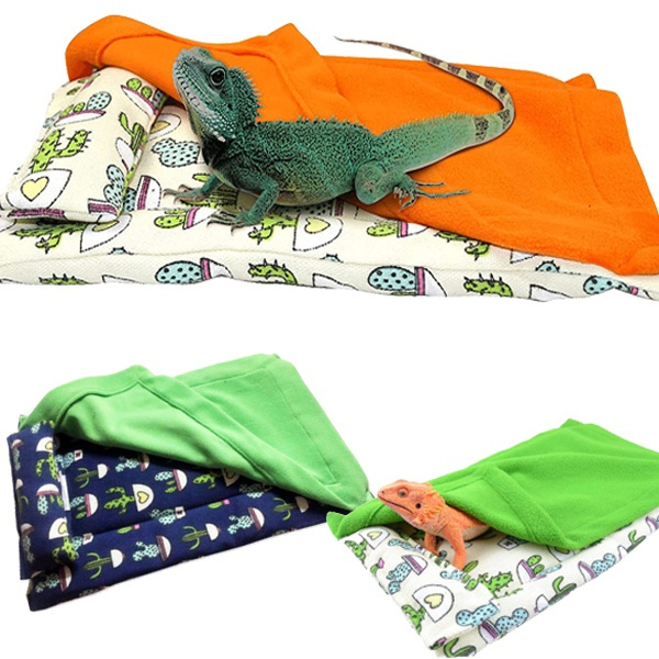 sleeping bolsa blanket