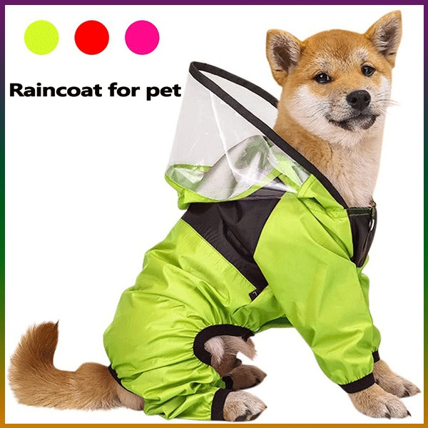 Dog store face raincoat