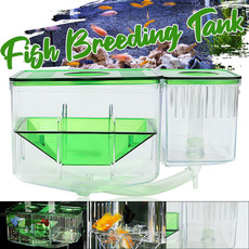 incubationbox, fishhouse, fishbreeding, fish