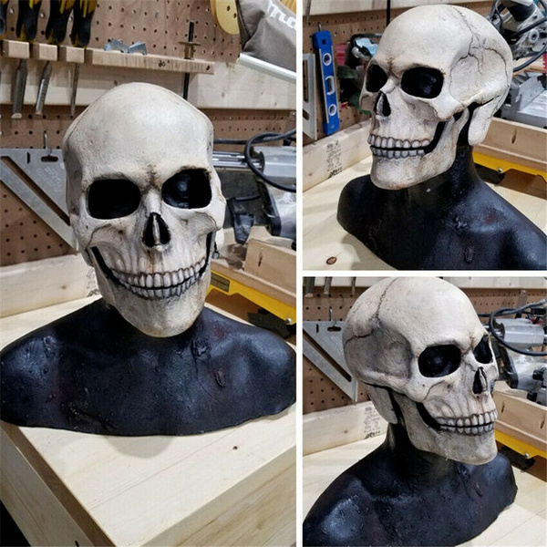 Skull w/ Movable Jaw