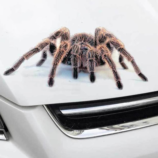 Spider Car Decal, Funny Car Decal, Spider Sticker , Car Decoration, 3D  Decal 