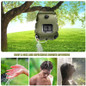 thumbnail - 1