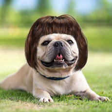 wig, Funny, Head, dogwig