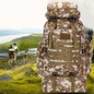 thumbnail - 6