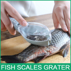 scalesfish, scrapingscalesdevice, fishscalecleaner, fishcleaning