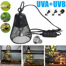 Turtle, baskinglightholder, reptilelightbulb, uvbreptilelight
