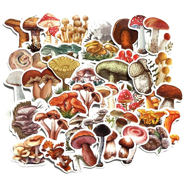 40/80pcs Cute Decoration DIY Mushroom Stickers for Water Bottle ...