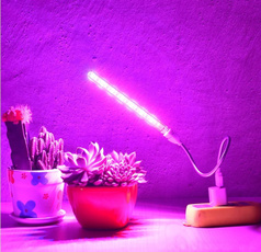 Plants, led, Office, lights