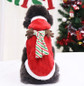 thumbnail - 6