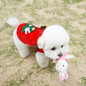 thumbnail - 7