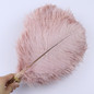 thumbnail - 2