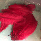 thumbnail - 16