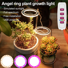 Plantas, led, indoorplantlamp, Angel
