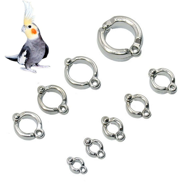 Chicken Leg Rings Mix Colors Bird Metal Leg Bands Clip-on Ankle Rings 3  Sizes | Fruugo NO