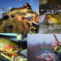 thumbnail - 8