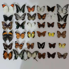 butterfly, Real, Decoración, art
