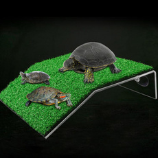 Turtle, Tank, tortoise, for
