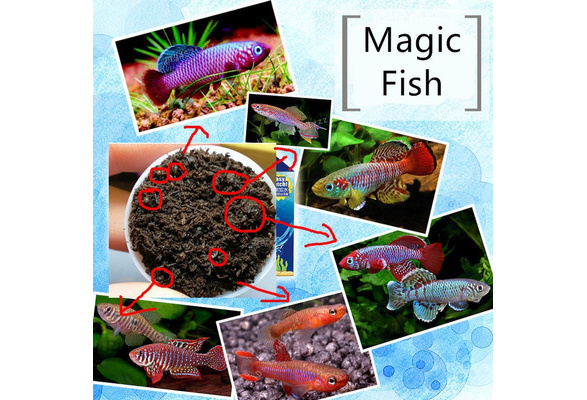 Grow Magic Soil + Water = Fishes Caviar Live Tank Sum Lamp Light Viewer  Killifish Eggs soil Hatching Earth Pet Education Toys