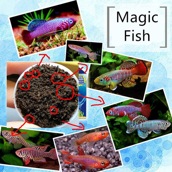 Grow Magic Soil + Water = Fishes Caviar Live Tank Sum Lamp Light