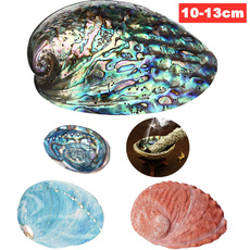 Decor, naturalshell, polished, Gifts