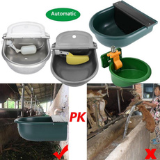 Sheep, Pets, Farm, water