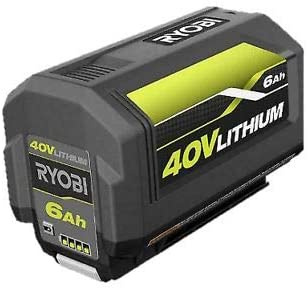 Wish shop ryobi battery