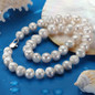 thumbnail - 5