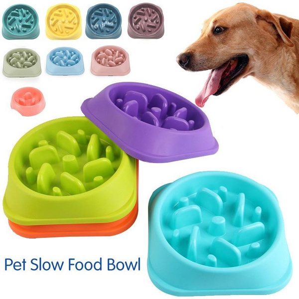 Pet Slow Feeder Bowl Dog Puppy Cat Slow Eating Dish Bowl Anti